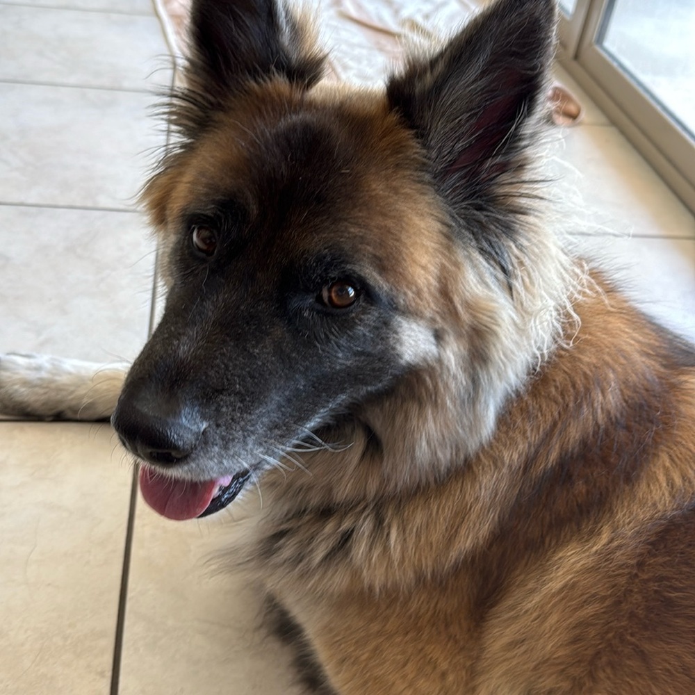 Meet your Posher, Alondra